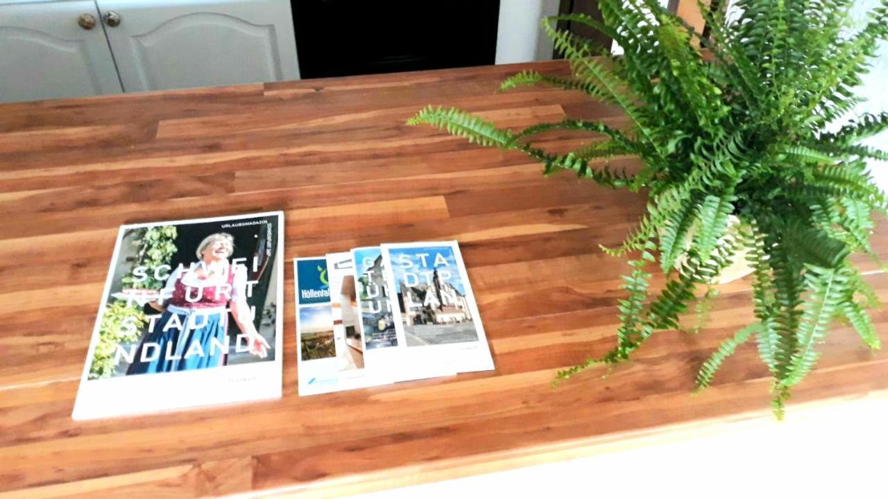 Apartment Panorama Швайнфурт Екстериор снимка