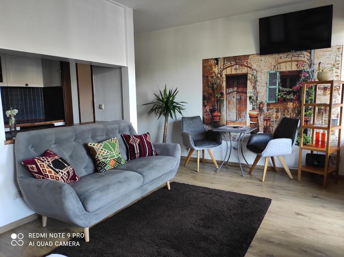 Apartment Panorama Швайнфурт Екстериор снимка