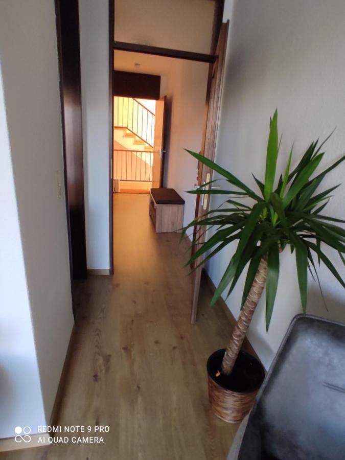 Apartment Panorama Швайнфурт Екстериор снимка